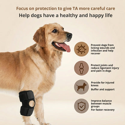 Dog Leg Recovery Support Wrap