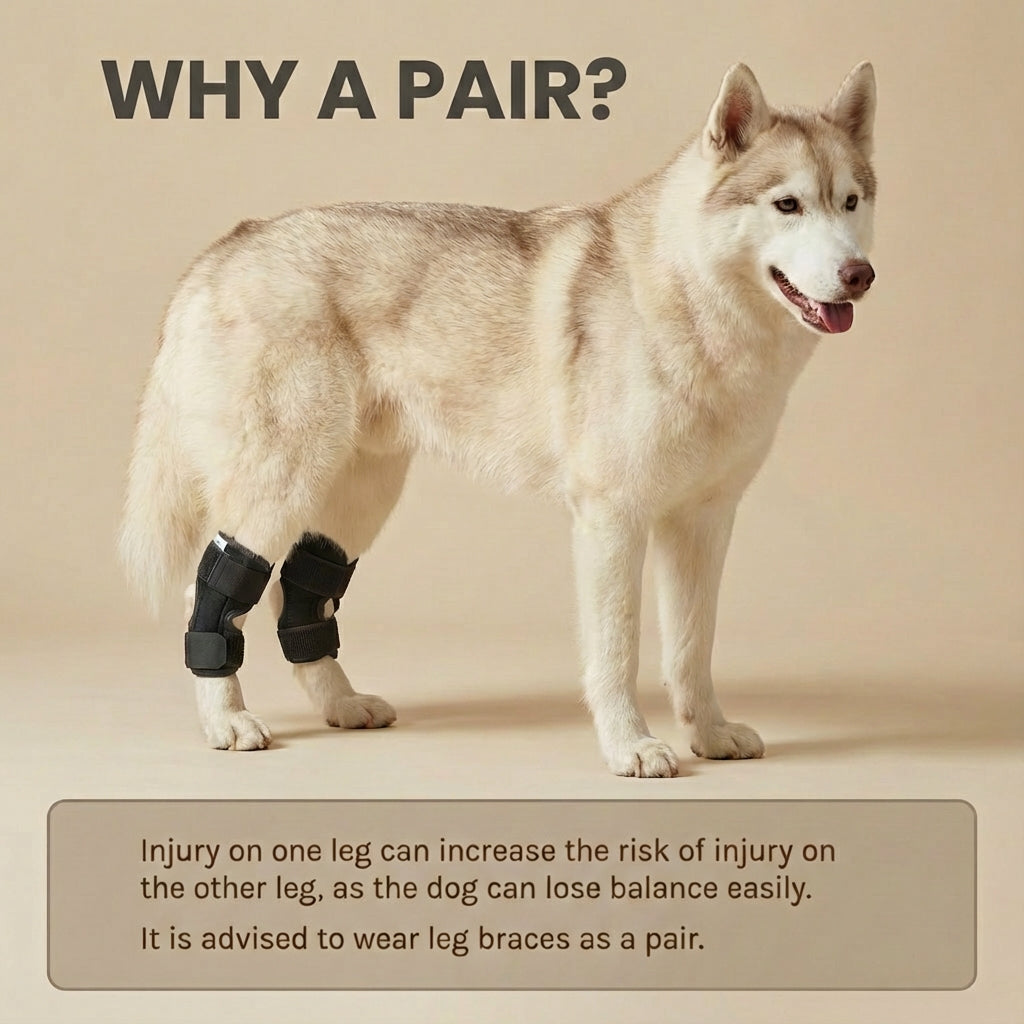 Dog Leg Recovery Support Wrap