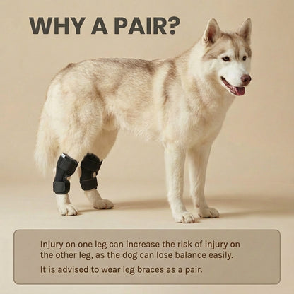 Dog Leg Recovery Support Wrap